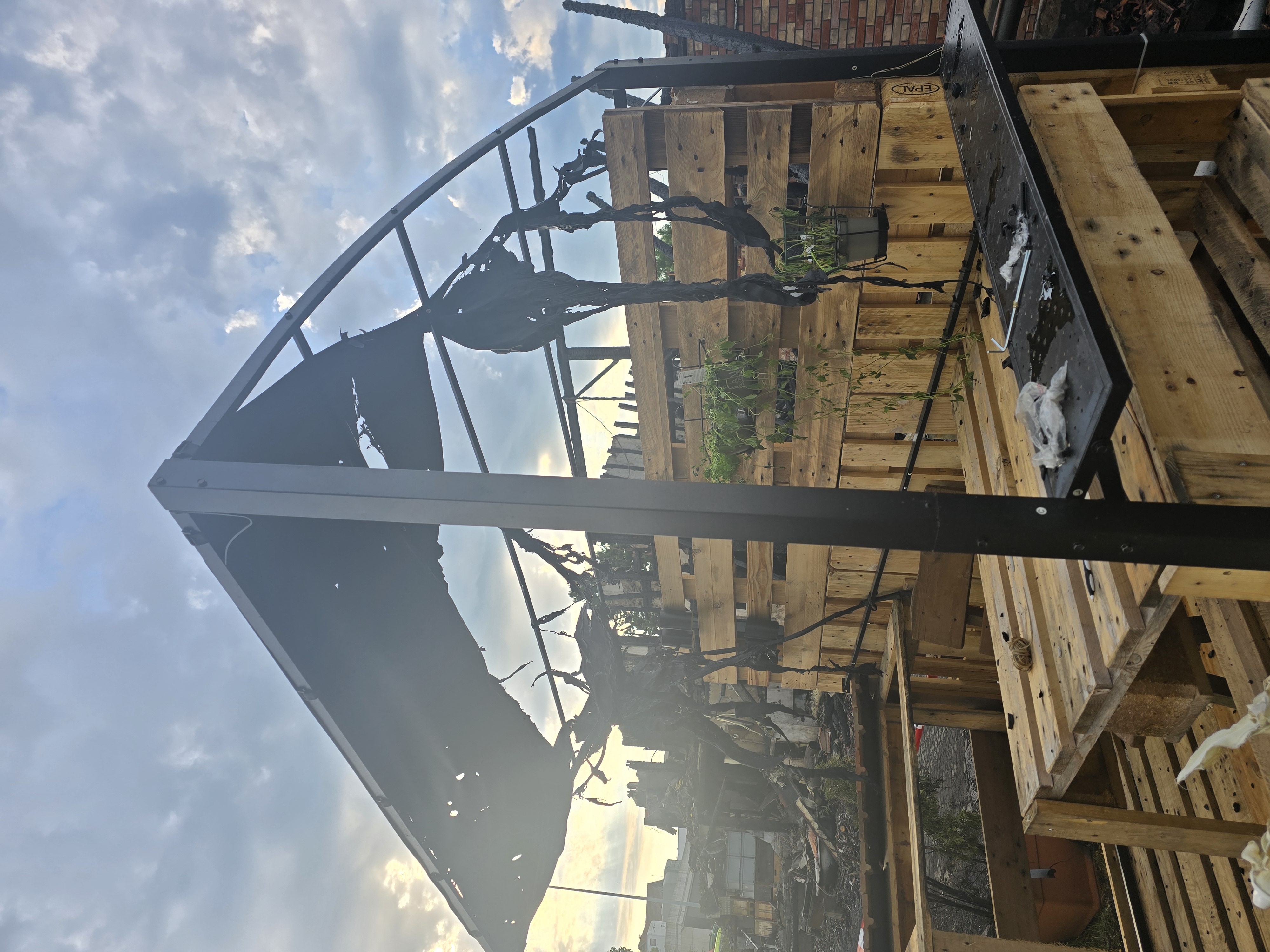 01K8QMNR5Z9V919DNFVAENRSTC