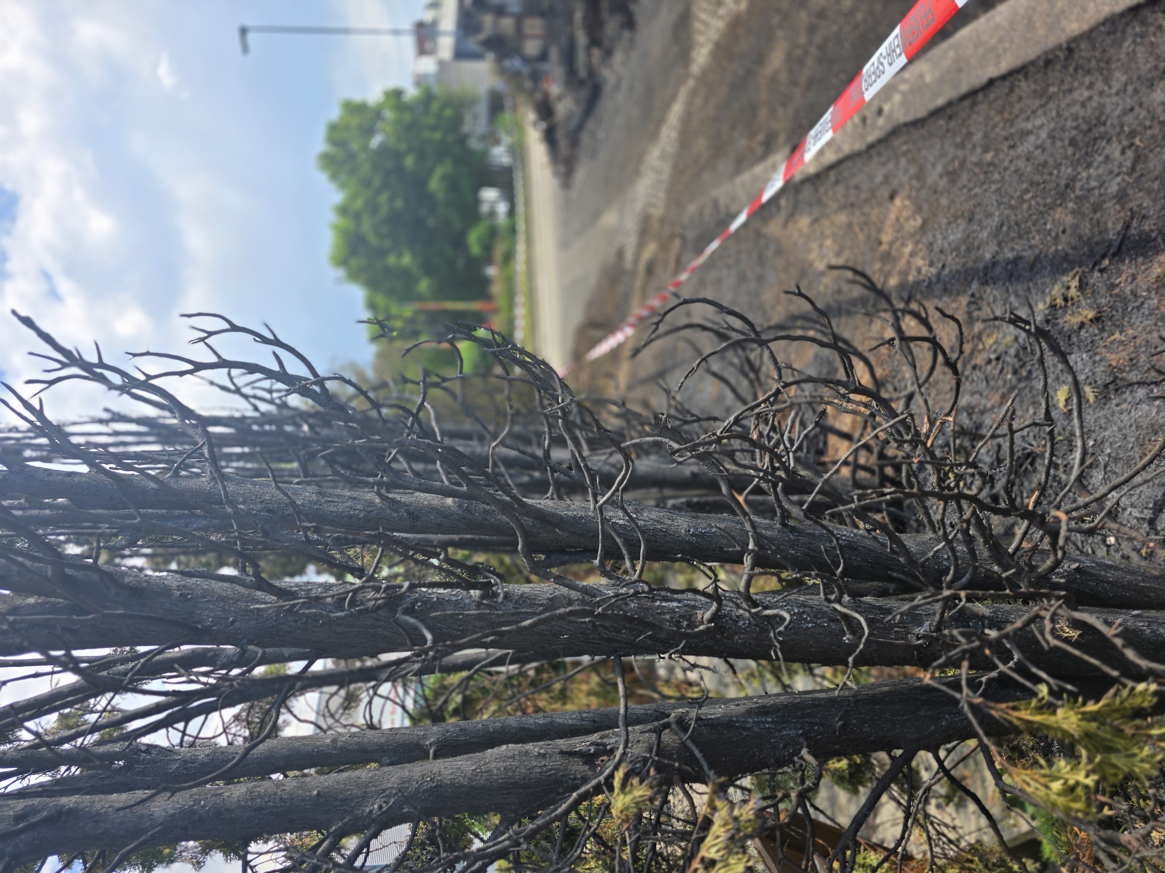 01K8QMNR64GG5CV4FYVSDRDVJ2