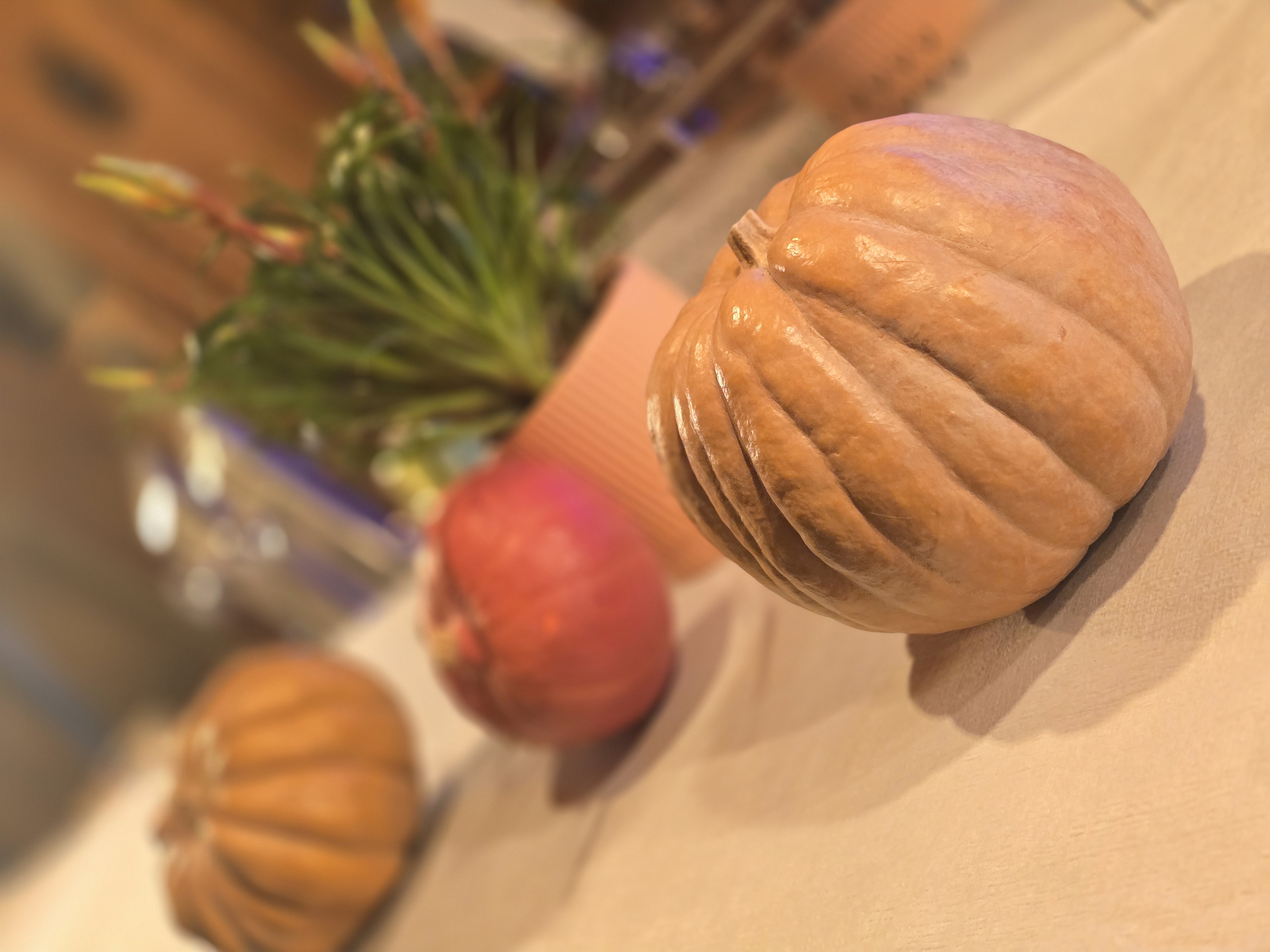 01K8QP12GM70YWV74PZ2GJD49W