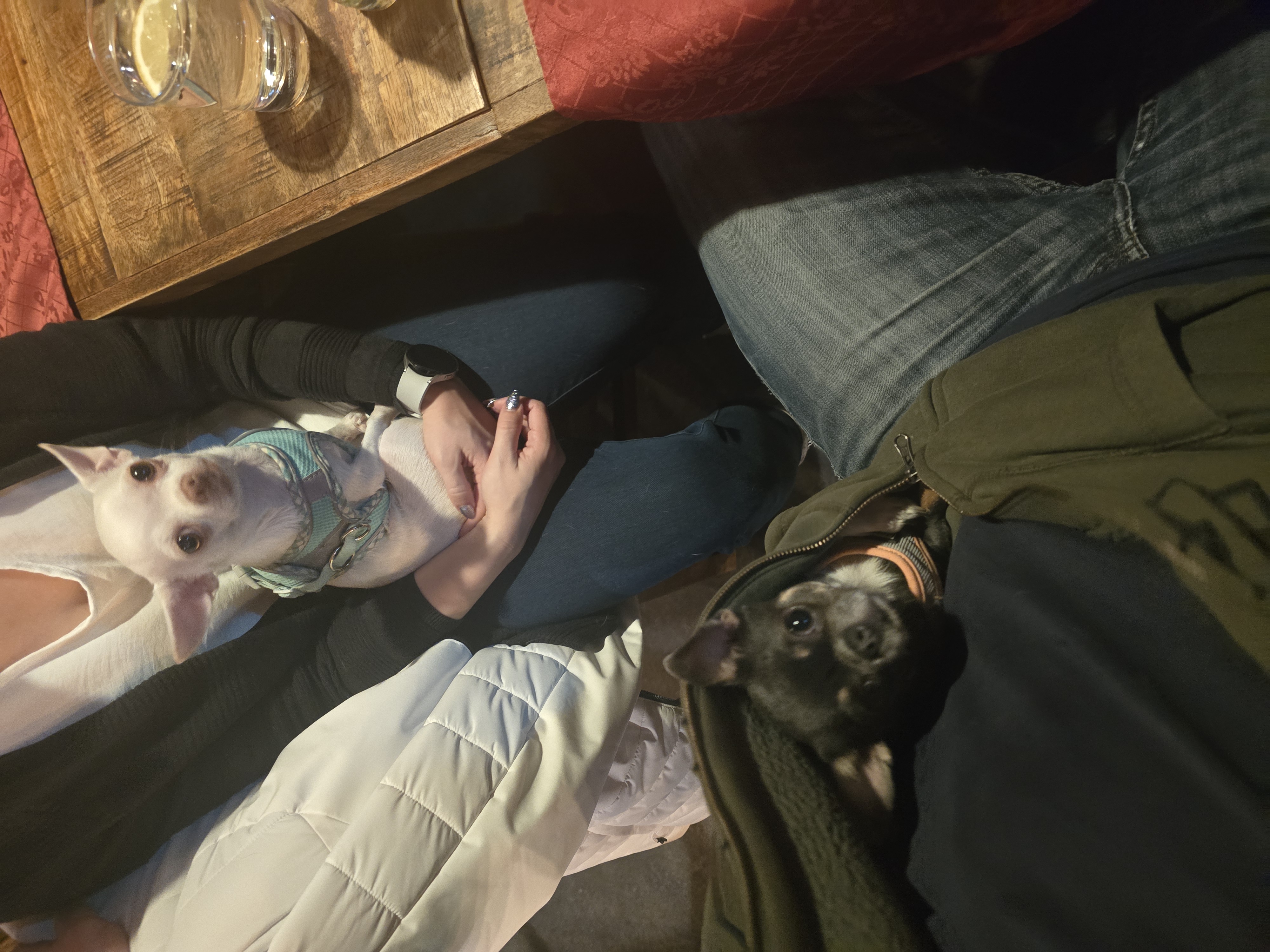 01KG1SE1C1TPYZNGABZT99DS42