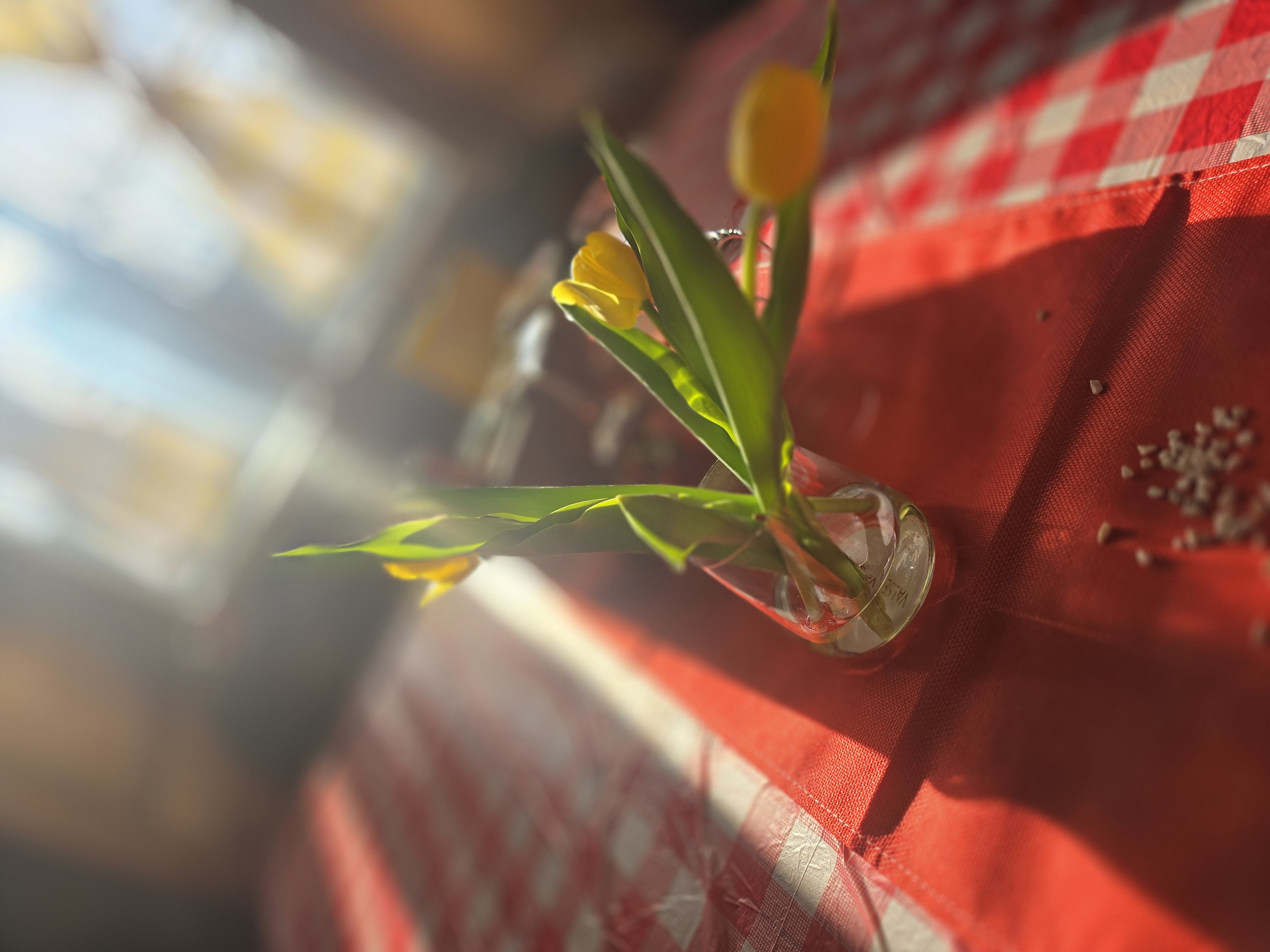 01KN2H5HVBG4AG8GBNN2Y84S69