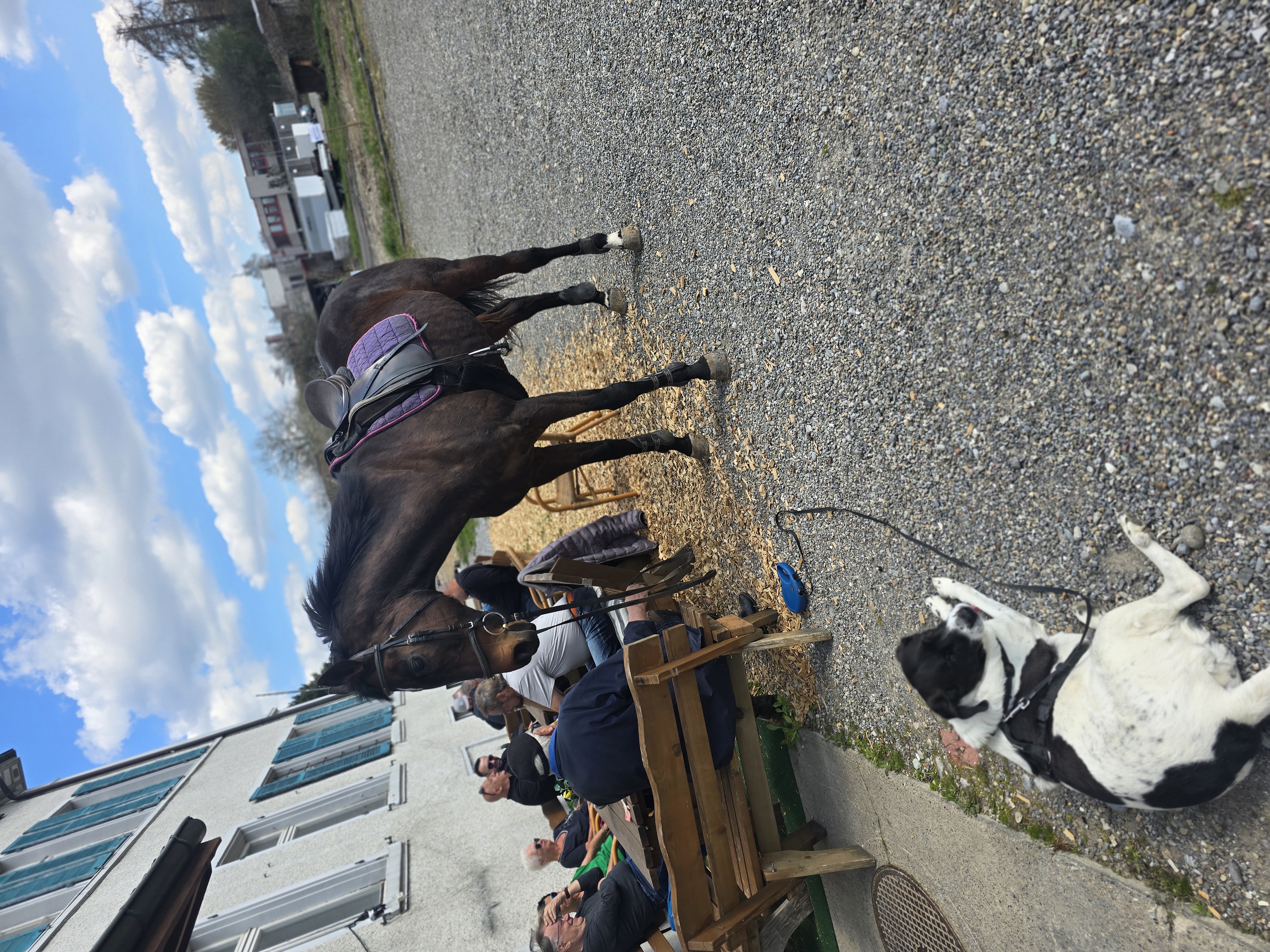 01KNNTBBZP9G1YZZ7CQC1M1Q14